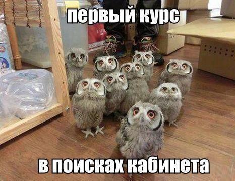 �������� ���� - 21 ����� 2016 � 04:30