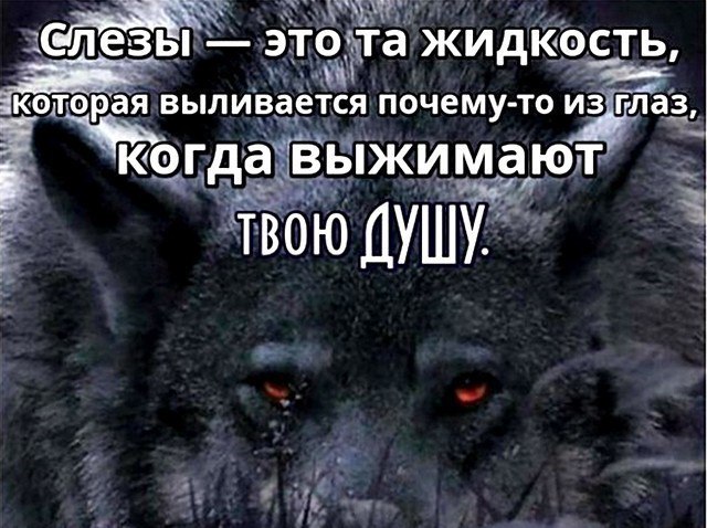  - 29  2016  20:35