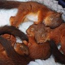 ���� ������, ������, 43 ���� - ��������� 3 �������� 2016 � ������ ������ ��������