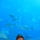 ����� �������� � ��� �� ������� ���� ����������