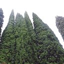 ���� �������, ������� - ��������� 29 ���� 2016 � ������ ��������. ����� ����.�