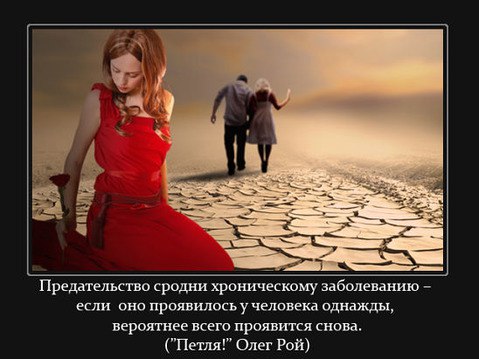   - 8  2016  16:41