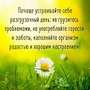 ���� ��������, ������������ - ��������� 19 ���� 2016 � ������ ������ ��������