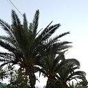 ���� �������, ������� - ��������� 29 ���� 2016 � ������ ��������. ����� ����.�