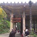  , , 35  -  12  2016   Vacation Abkhazya 2014 November