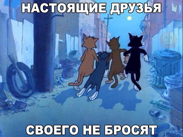  - 20  2016  15:56