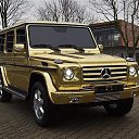 ���� ���, ������, 42 ���� - ��������� 21 ����� 2016 � ������ ���� ����������