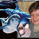 ���� ����, ������, 56 ��� - ��������� 3 ���� 2016 � ������ ���