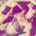 ���� ������, ������, 43 ���� - ��������� 31 ������� 2016 � ������ ���� ����������