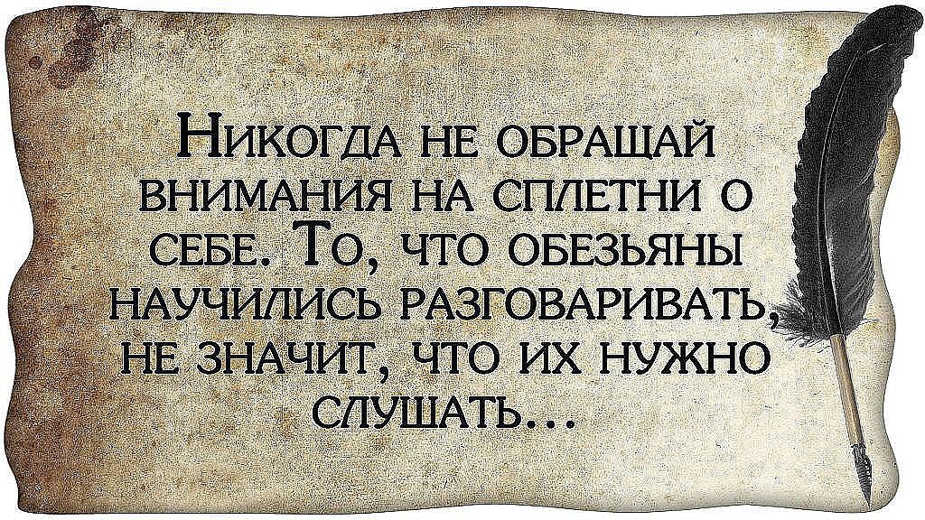   - 3  2016  23:38