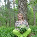  ,  -  24  2016   ,,   ...