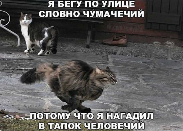    :D - 19  2016  15:12