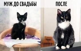  .#@bon