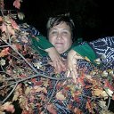  , -, 52  -  25  2016    