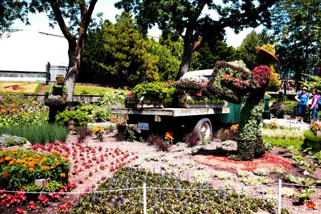   .     Mosaiculture, ... - 18