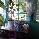 ���� �����, ������������, 72 ���� - ��������� 9 ���� 2016 � ������ ���� ����������