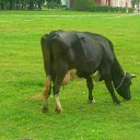 ������� �� ������� ���� ����������