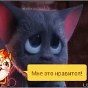 ���� ����, ������, 52 ���� - ��������� 20 ���� 2016