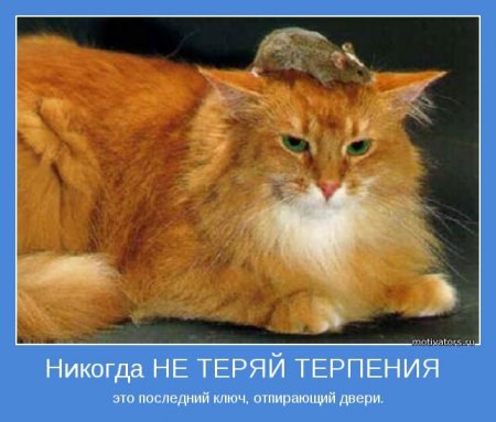 ***Victoria Viktorovna*** - 22  2016  11:09
