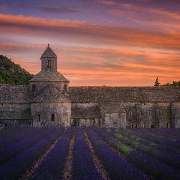 Provence, France - 5