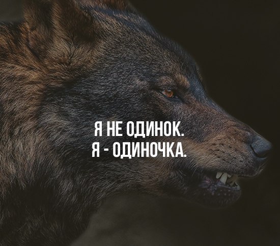  ( ) - 12  2016  20:18