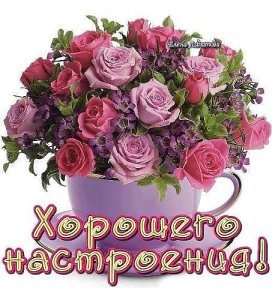 ***Victoria Viktorovna*** - 7  2016  02:31