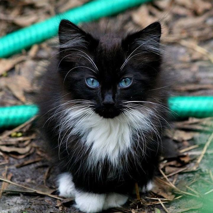     :   ,   -...    , !!!  ... - 2