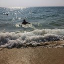���� �����, ������� - ��������� 20 ����� 2016 � ������ ���� ����������