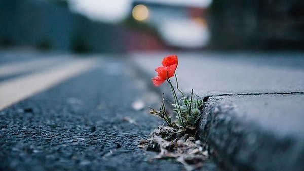 Когда от всего, что свалилось на тебя, ты дойдешь до состояния, что уже не сможешь выдержать, ни в ...