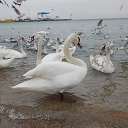 ���� �����, ���� - ��������� 28 ����� 2016 � ������ �������������� ����