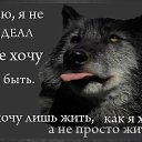 ���� �������, ����������, 57 ��� - ��������� 28 ���� 2016 � ������ ������ ��������