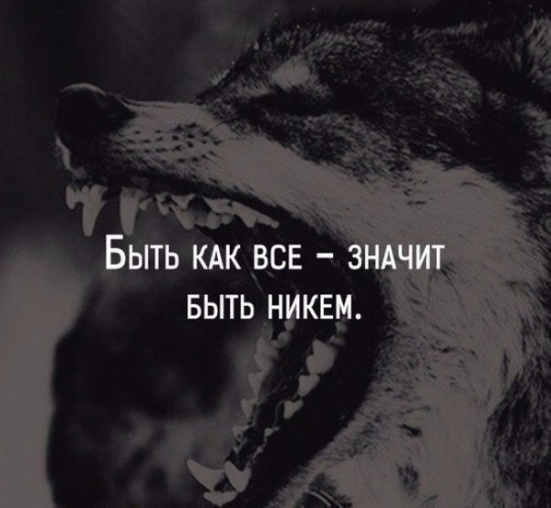  - 20  2016  06:22