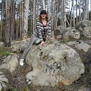 ���� �����, ��������, 44 ���� - ��������� 5 ������ 2016 � ������ ���� ����������