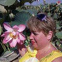 ���� �����, ������ - ��������� 26 ���� 2016 � ������ �������