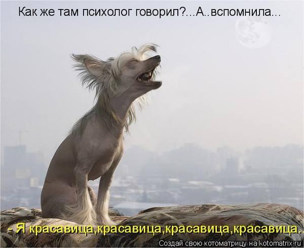 ,    ... !   - !      !!!