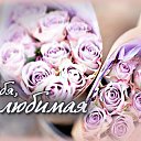 ���� �����, ����������� - ��������� 28 ��� 2016 � ������ �������� ��������