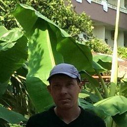 , 43, 