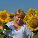 ���� ��������, �������� - ��������� 31 ���� 2016 � ������ ���� ����������