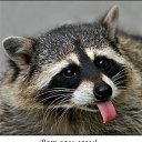 ���� �������, ������, 44 ���� - ��������� 16 ���� 2016