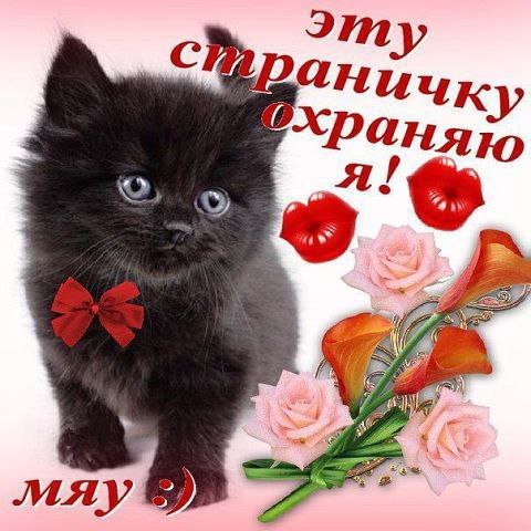 Почему мы не можем быть вместе.Чувства прятать стараясь свои,Когда так одиноко на сердцеНам бывает ...