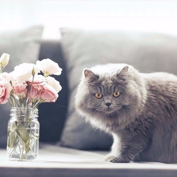       - 28  2016  04:30 - 6