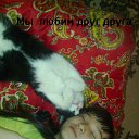 ���� �������, �������, 49 ��� - ��������� 21 ��� 2016 � ������ ���� ����������