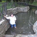  , , 65  -  27  2016   4