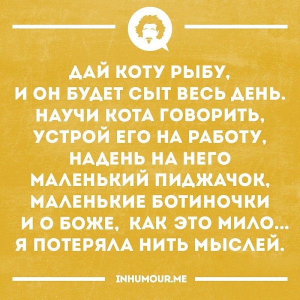  - 29  2016  18:13