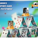  , , 41  -  8  2016    -