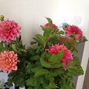 ���� �����, �����-��������� - ��������� 6 ������� 2016