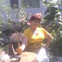 ���� ����, ���������, 74 ���� - ��������� 19 ���� 2016 � ������ ���� ����������