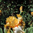  , , 60  -  16  2016    ,,18.05.16.