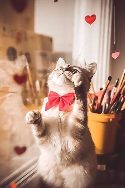       - 26  2016  08:06 - 4