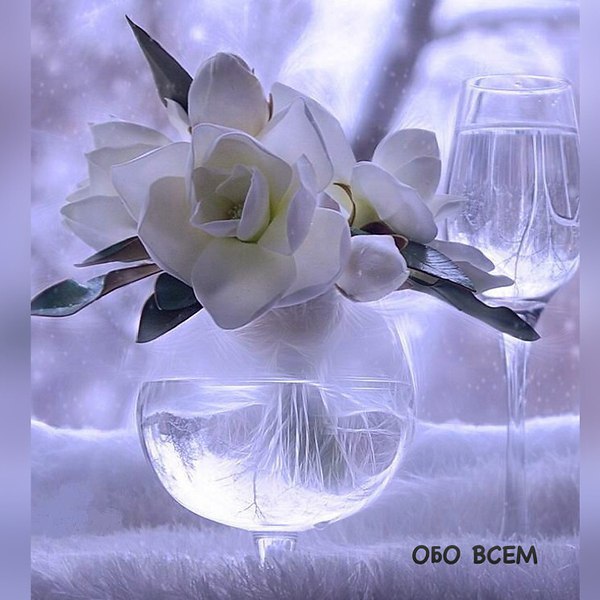 ���� - 1 ��� 2016 � 15:54